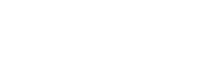 PaymentPilot_Logo_WhiteVersioin_small