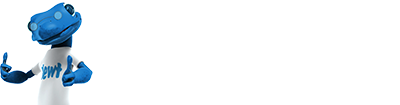 Newtek Web Hosting & Technology Solutions