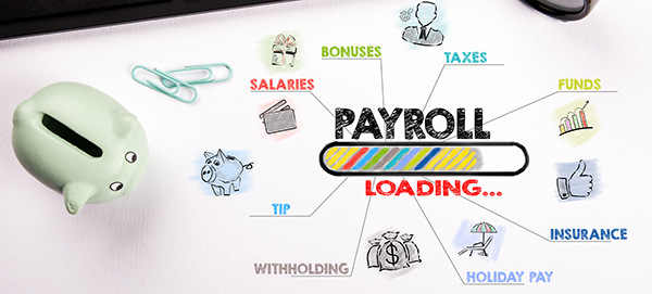 Let Newtek Payroll & Benefits help you manage your employee life-cycle from hire to retire.